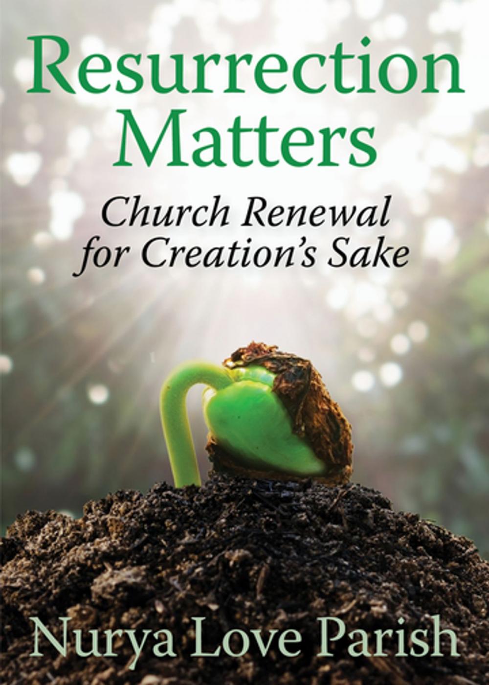 Big bigCover of Resurrection Matters