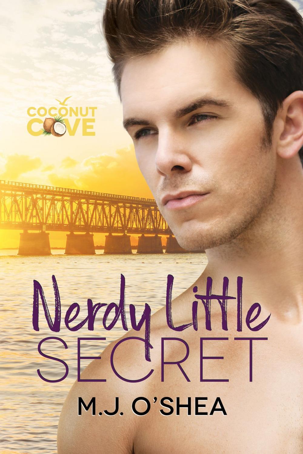 Big bigCover of Nerdy Little Secret