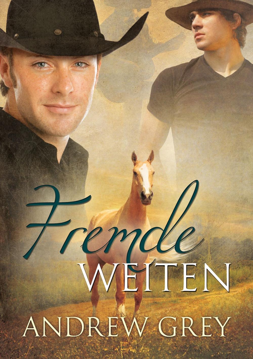 Big bigCover of Fremde Weiten