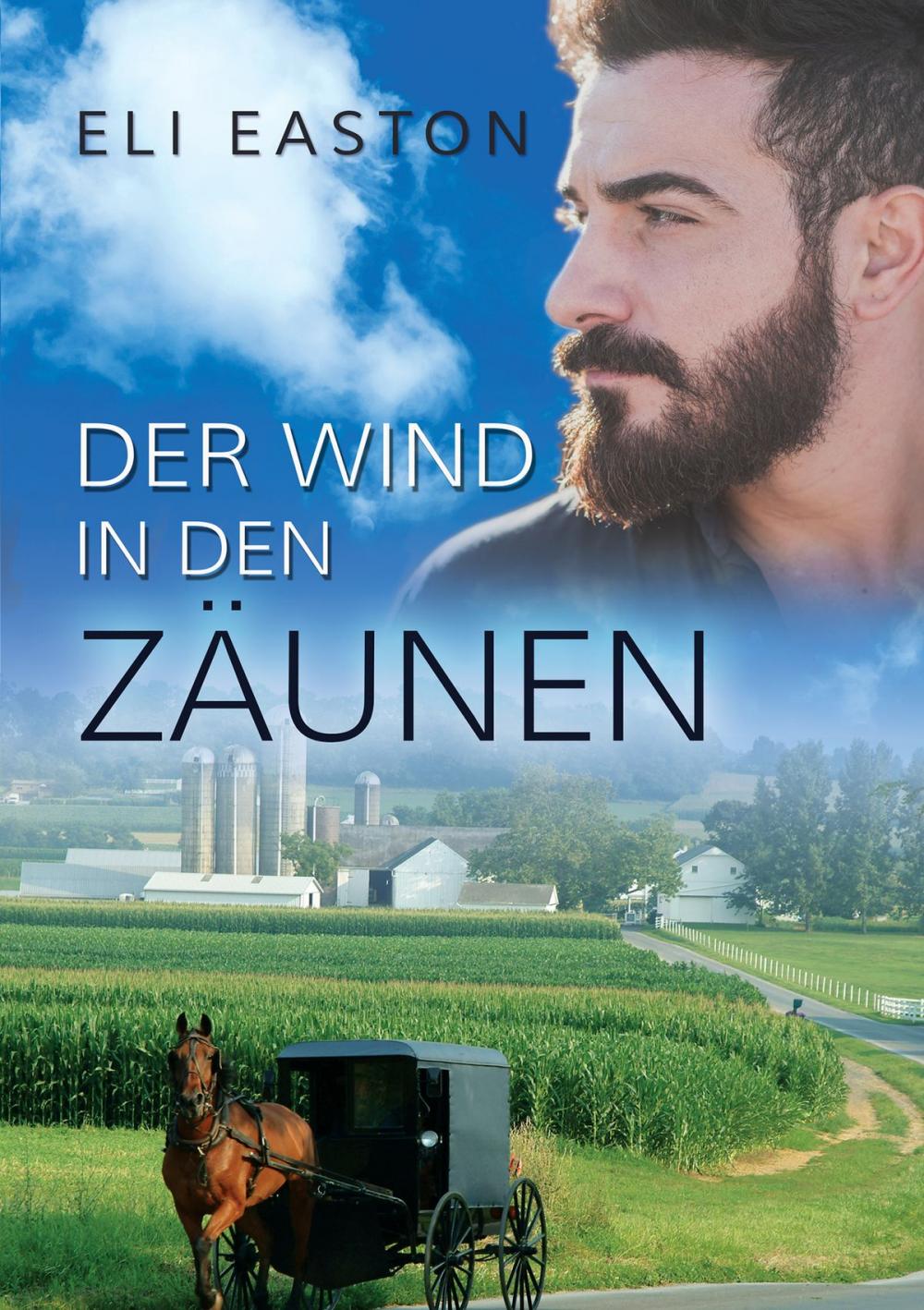 Big bigCover of Der Wind In den Zäunen