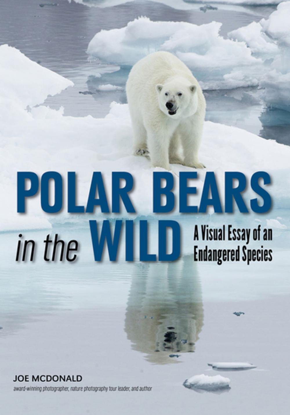 Big bigCover of Polar Bears In The Wild