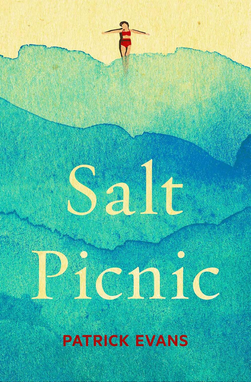 Big bigCover of Salt Picnic