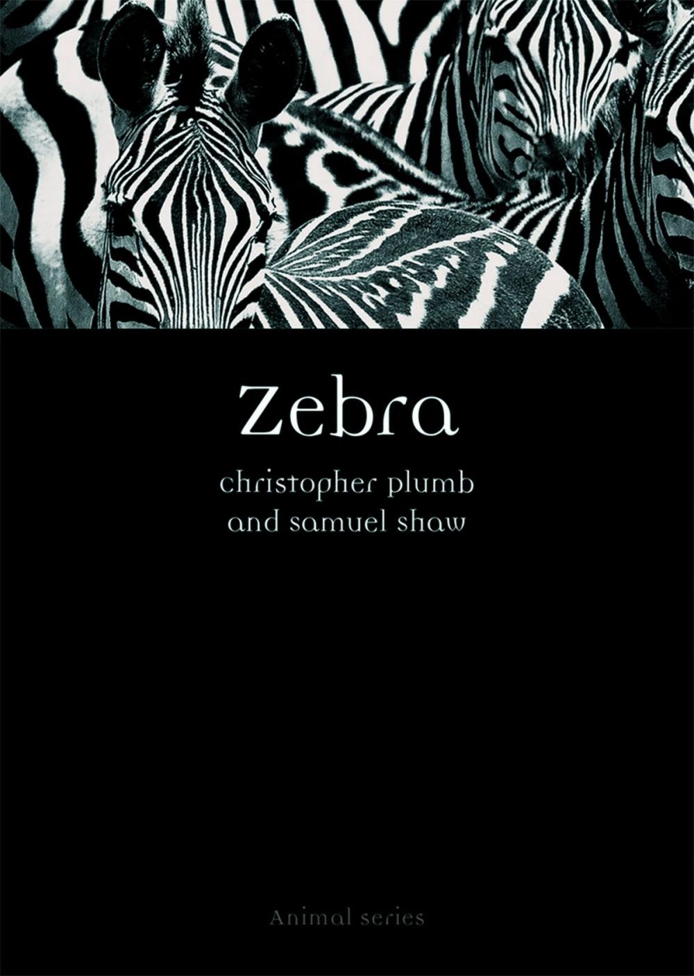 Big bigCover of Zebra