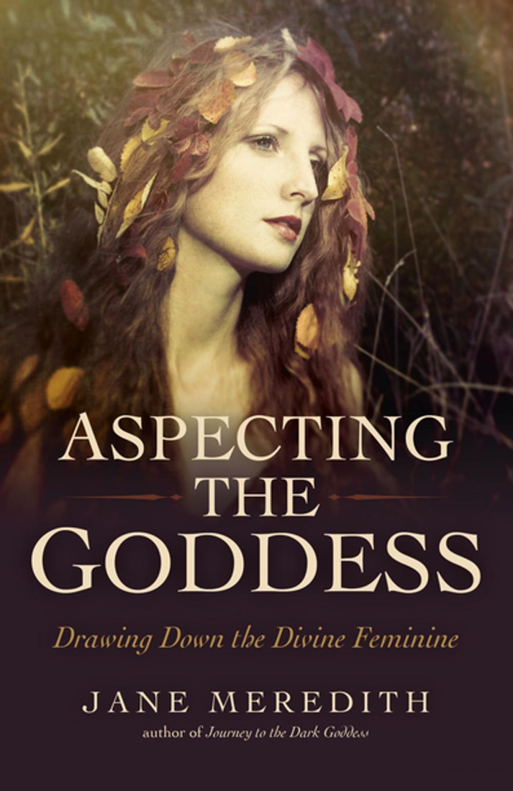 Big bigCover of Aspecting the Goddess