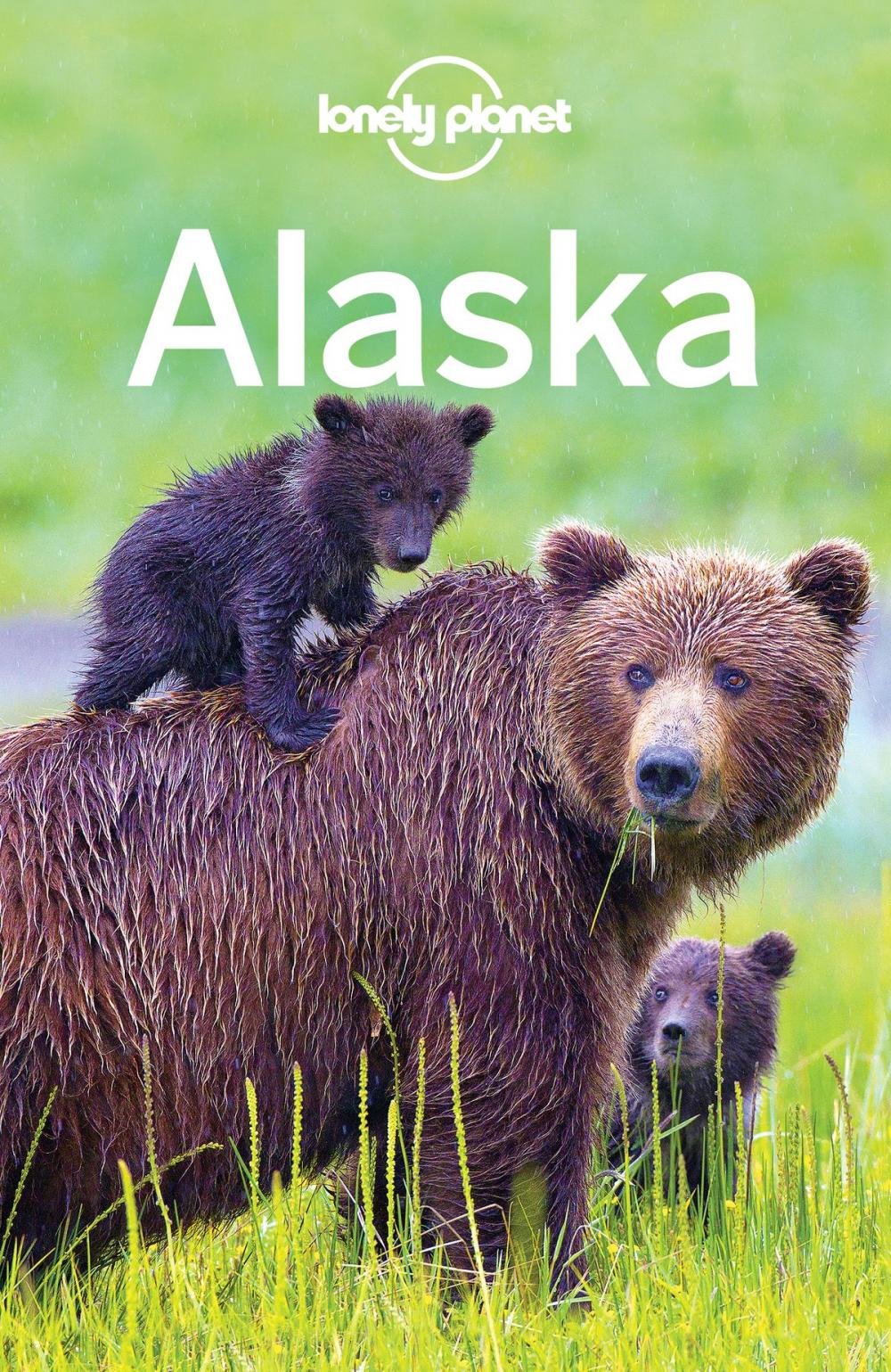 Big bigCover of Lonely Planet Alaska