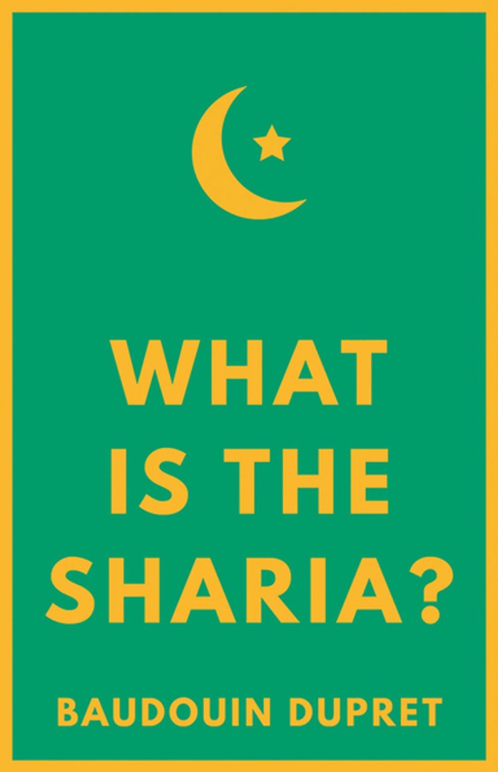 Big bigCover of What is the Sharia?