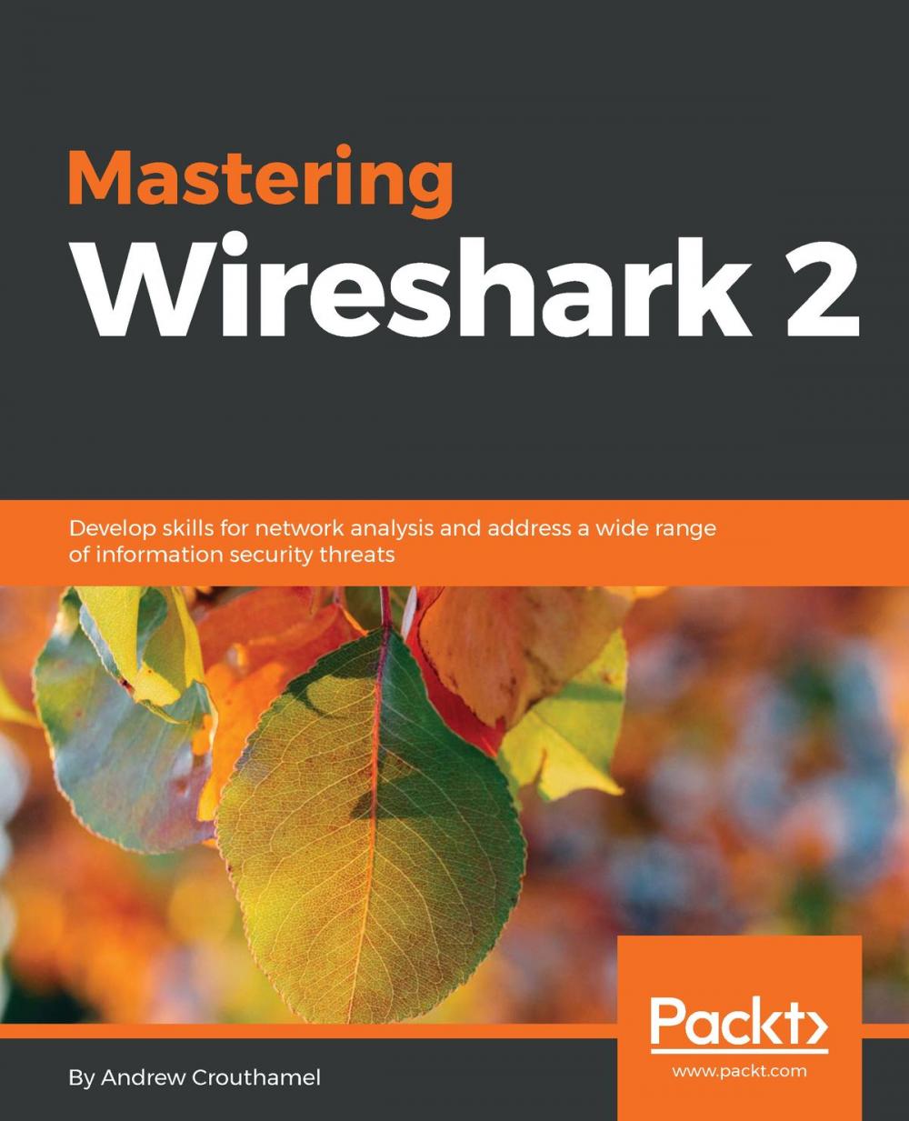 Big bigCover of Mastering Wireshark 2