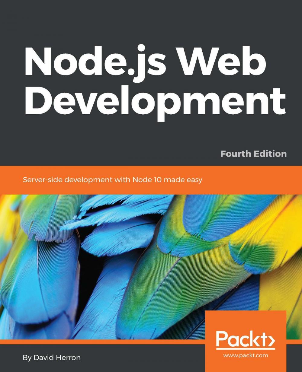 Big bigCover of Node.js Web Development