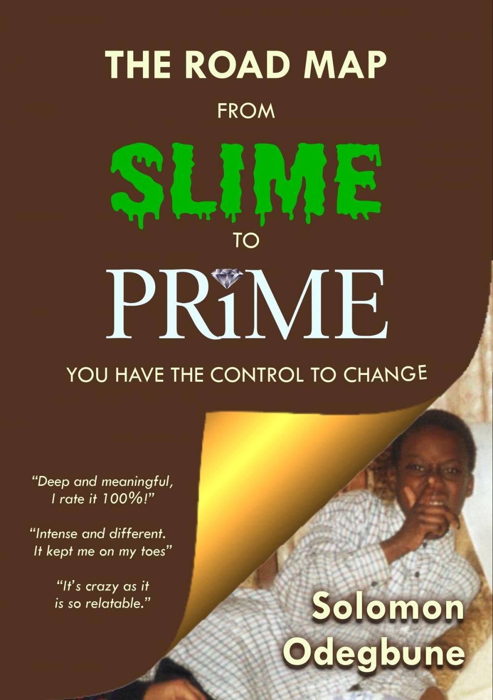 Big bigCover of The Road Map from Slime to Prime