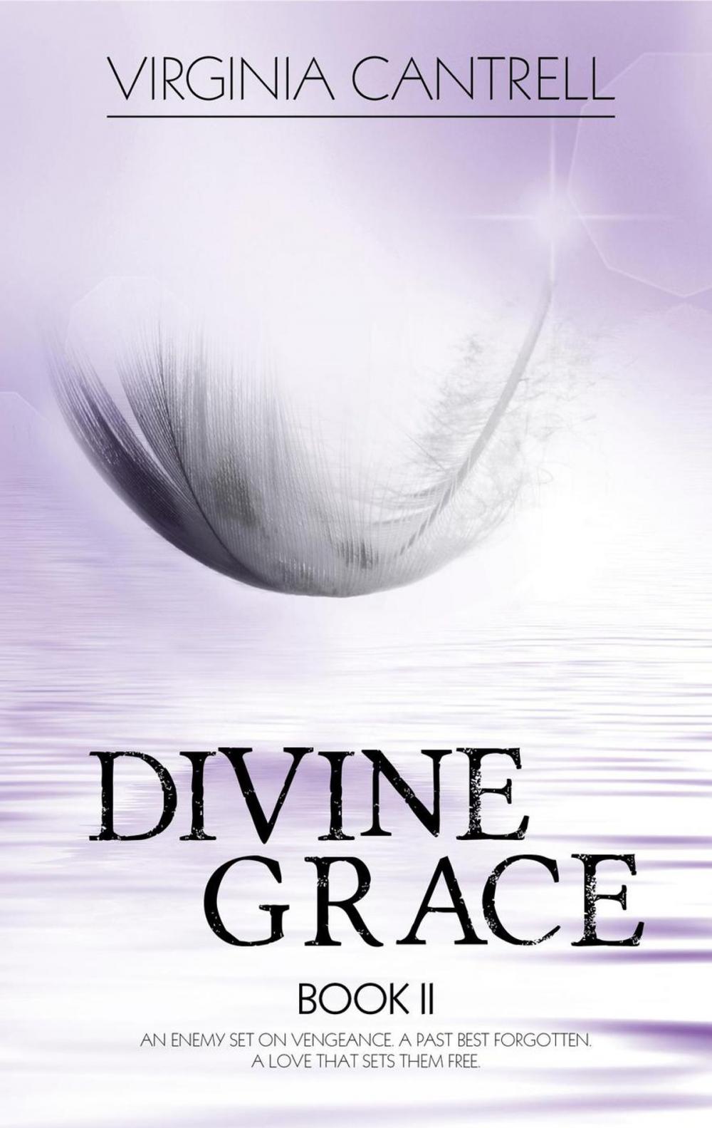 Big bigCover of Divine Grace