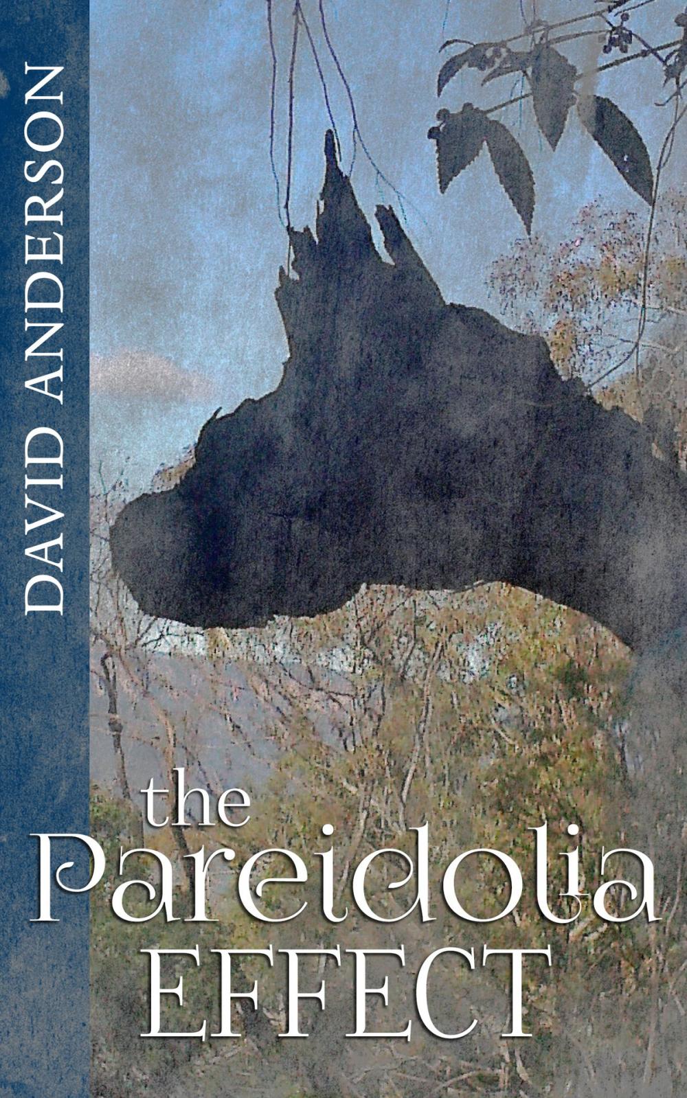 Big bigCover of The Pareidolia Effect