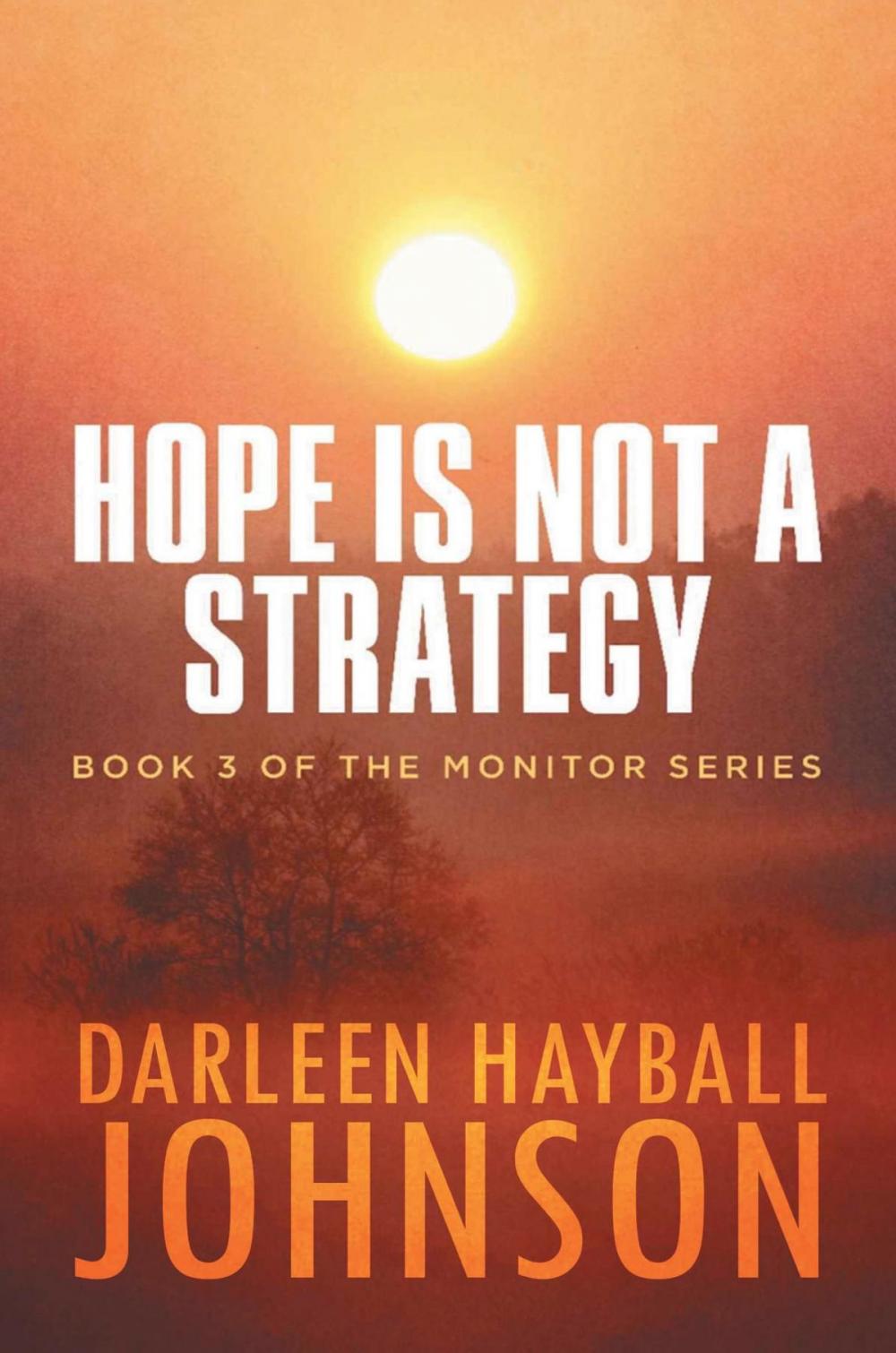 Big bigCover of HOPE IS NOT A STRATEGY