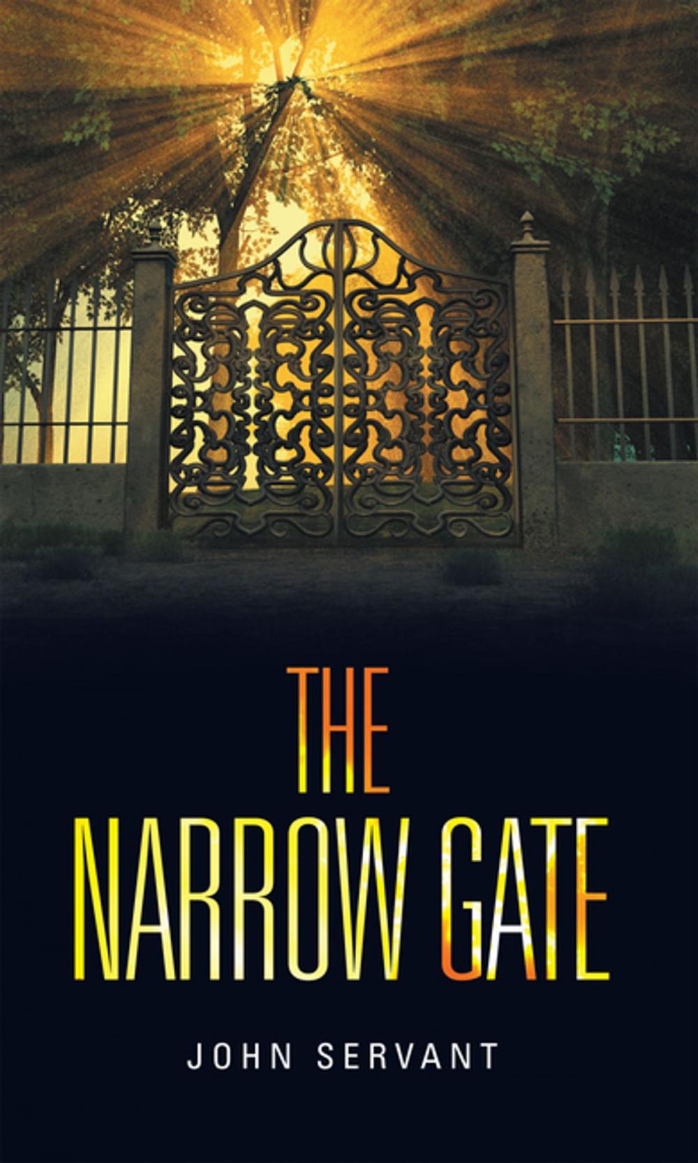 Big bigCover of The Narrow Gate