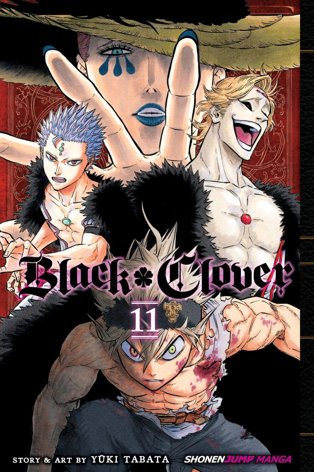 Big bigCover of Black Clover, Vol. 11