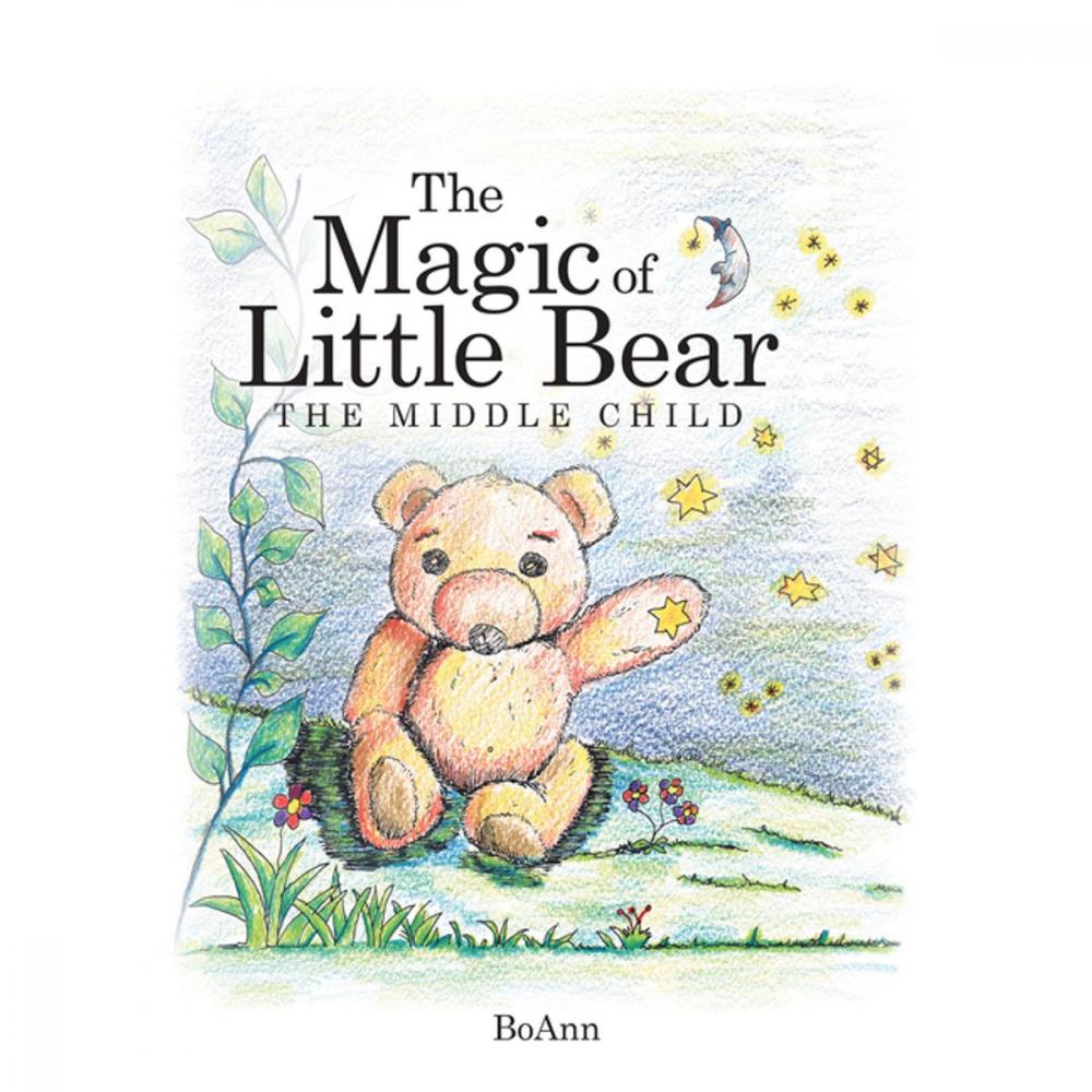 Big bigCover of The Magic of Little Bear