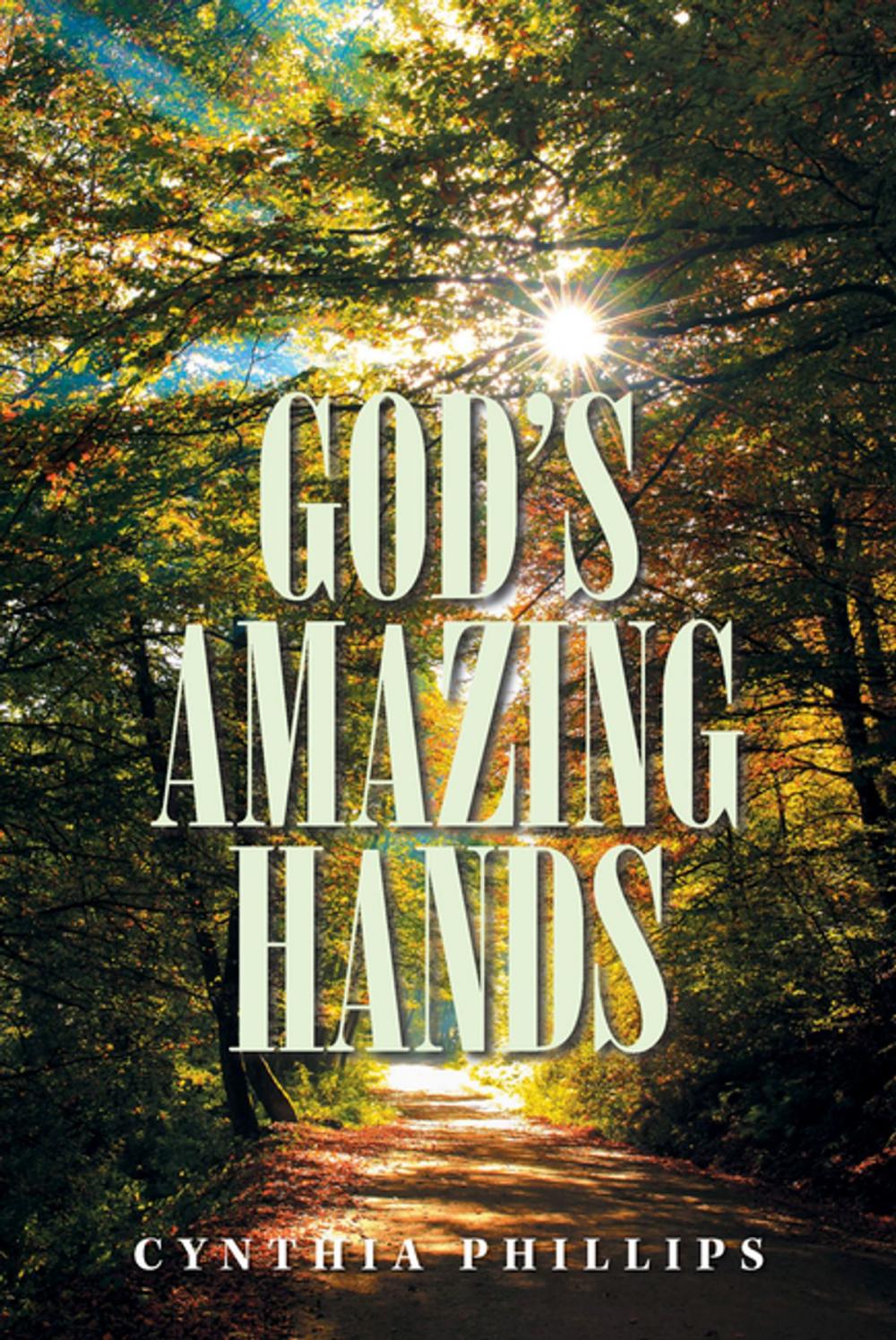 Big bigCover of God’S Amazing Hands