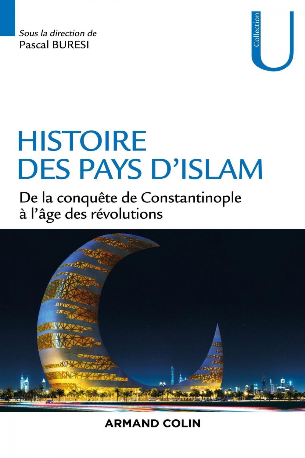 Big bigCover of Histoire des pays d'Islam