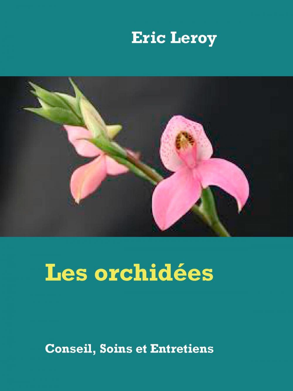 Big bigCover of Les orchidées