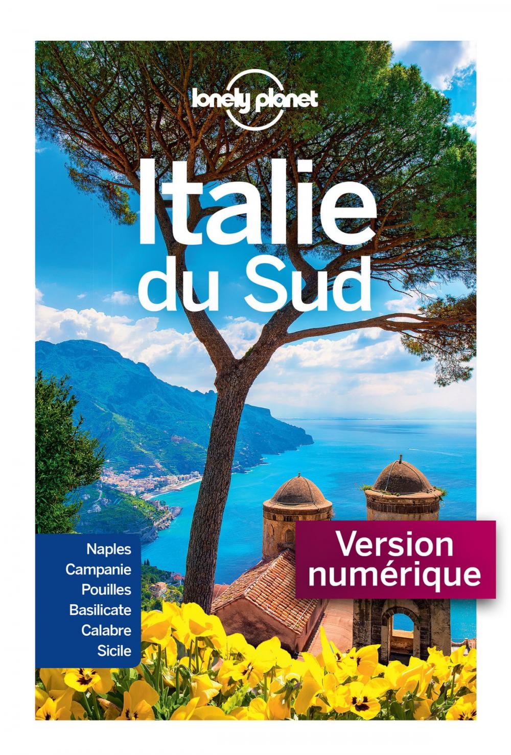 Big bigCover of Italie du Sud 4ed