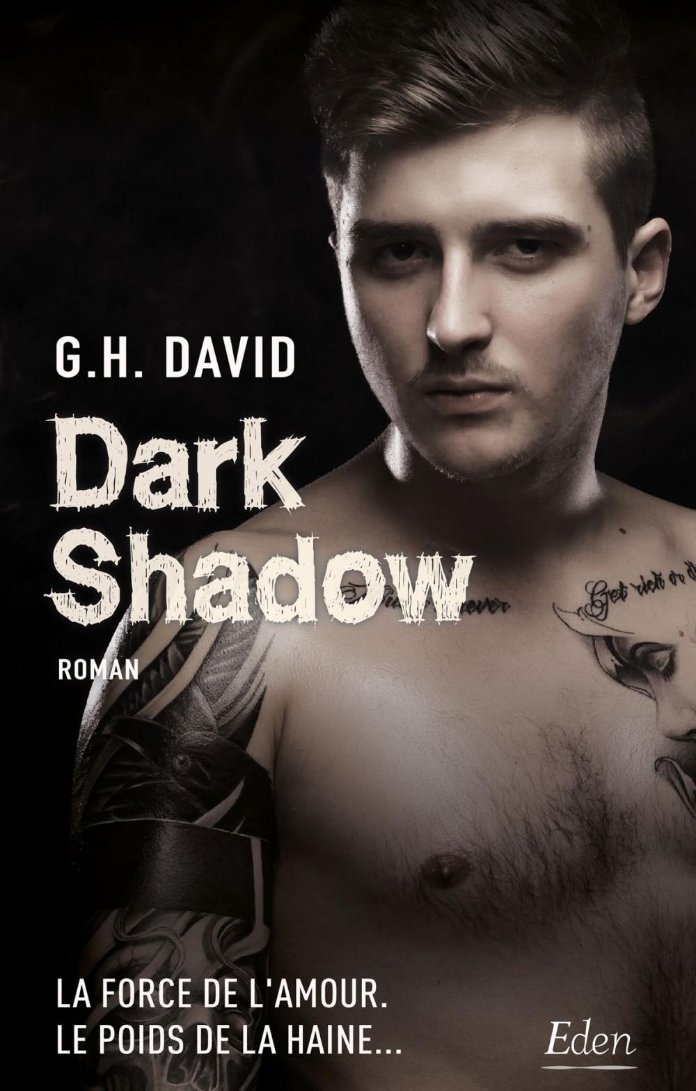 Big bigCover of Dark shadow