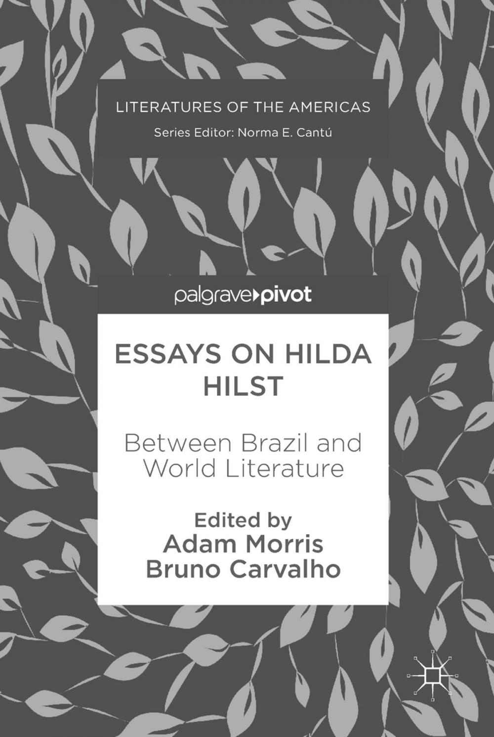 Big bigCover of Essays on Hilda Hilst