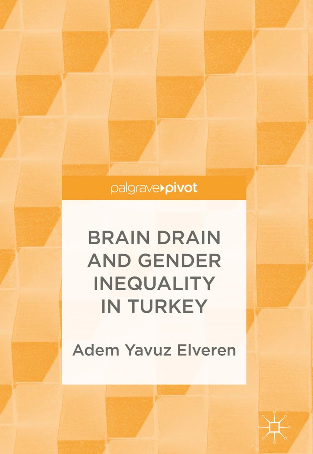 Big bigCover of Brain Drain and Gender Inequality in Turkey