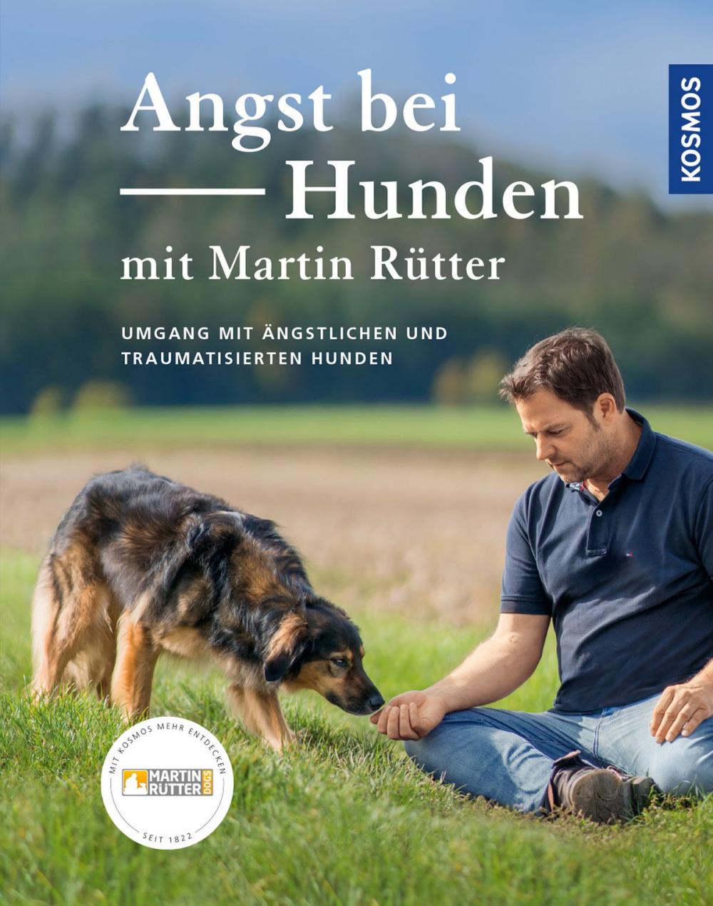 Big bigCover of Angst bei Hunden