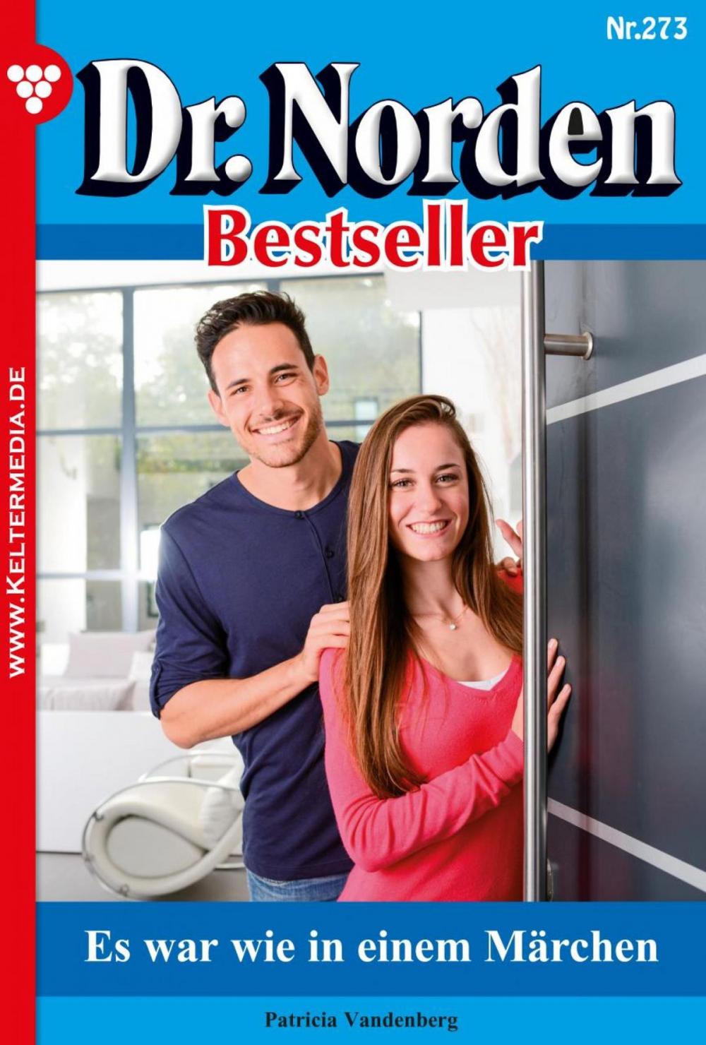 Big bigCover of Dr. Norden Bestseller 273 – Arztroman