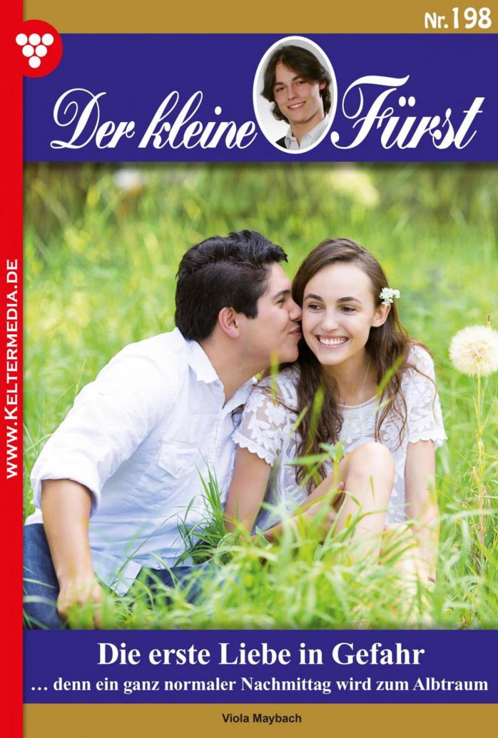 Big bigCover of Der kleine Fürst 198 – Adelsroman