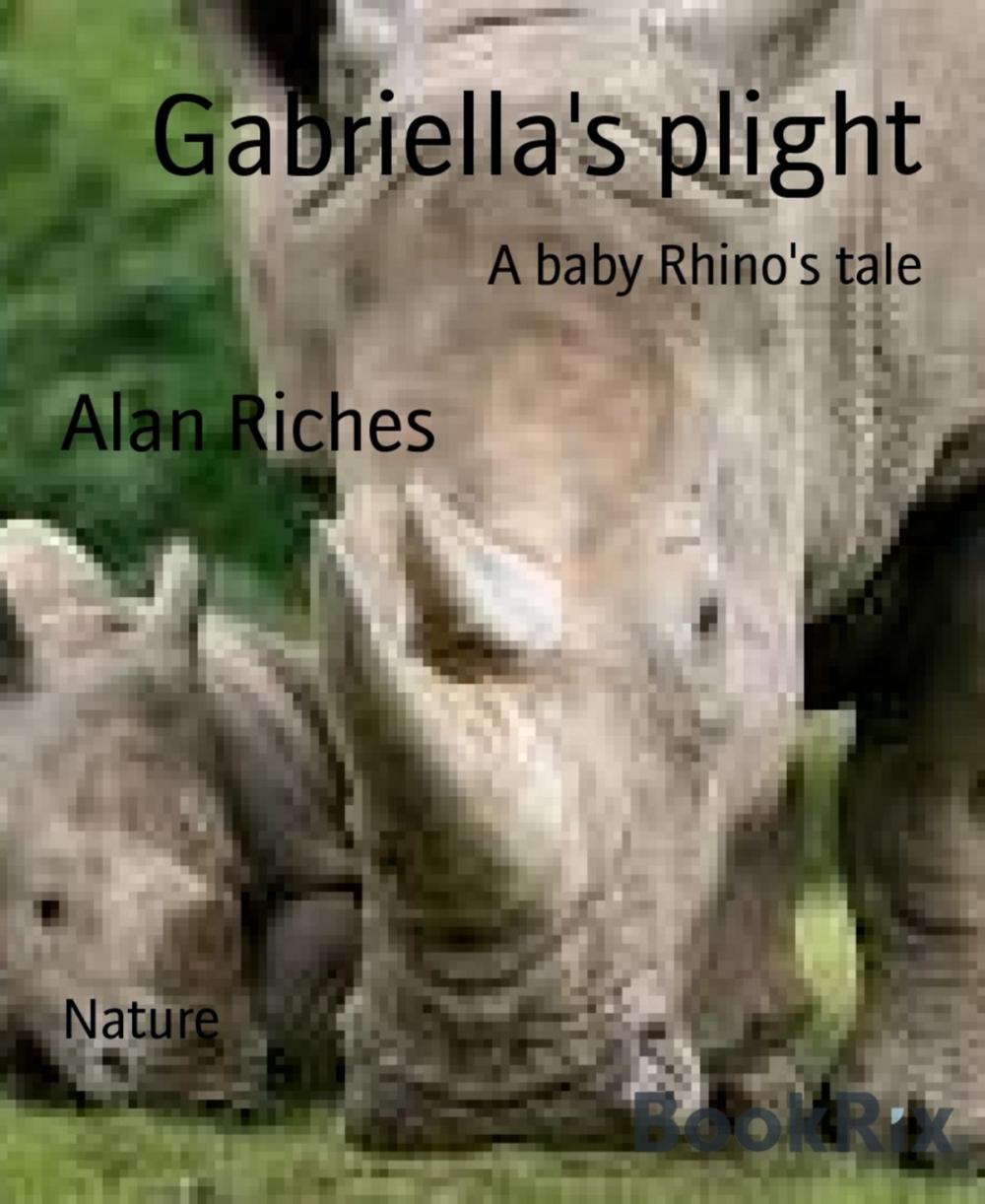 Big bigCover of Gabriella's plight