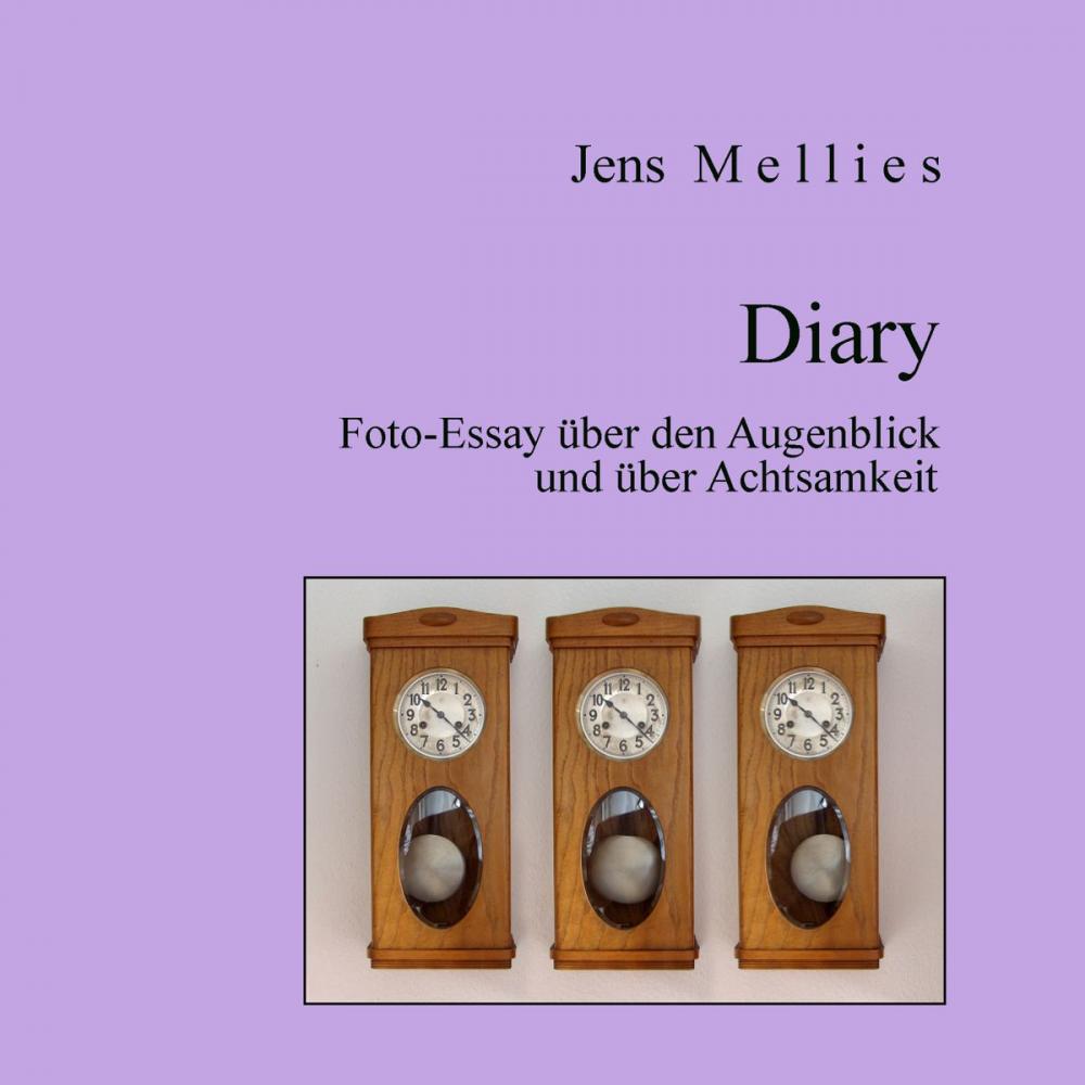 Big bigCover of Diary