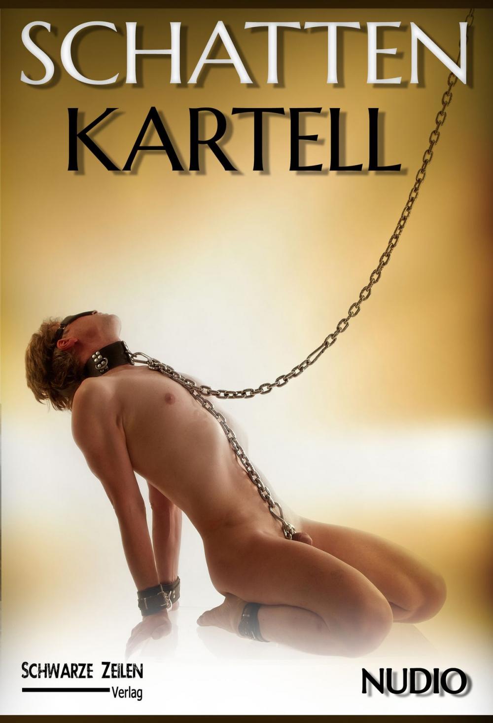 Big bigCover of Schatten-Kartell