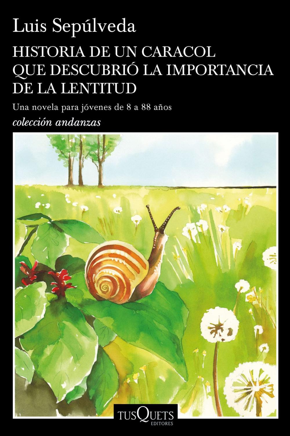 Big bigCover of Historia de un caracol que descubrió la importancia de la lentitud