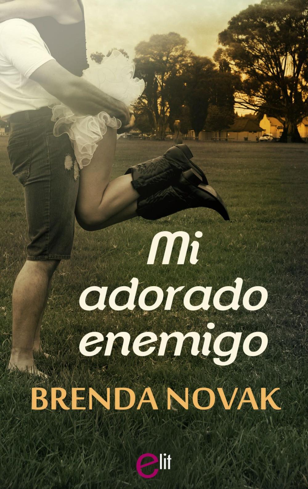 Big bigCover of Mi adorado enemigo