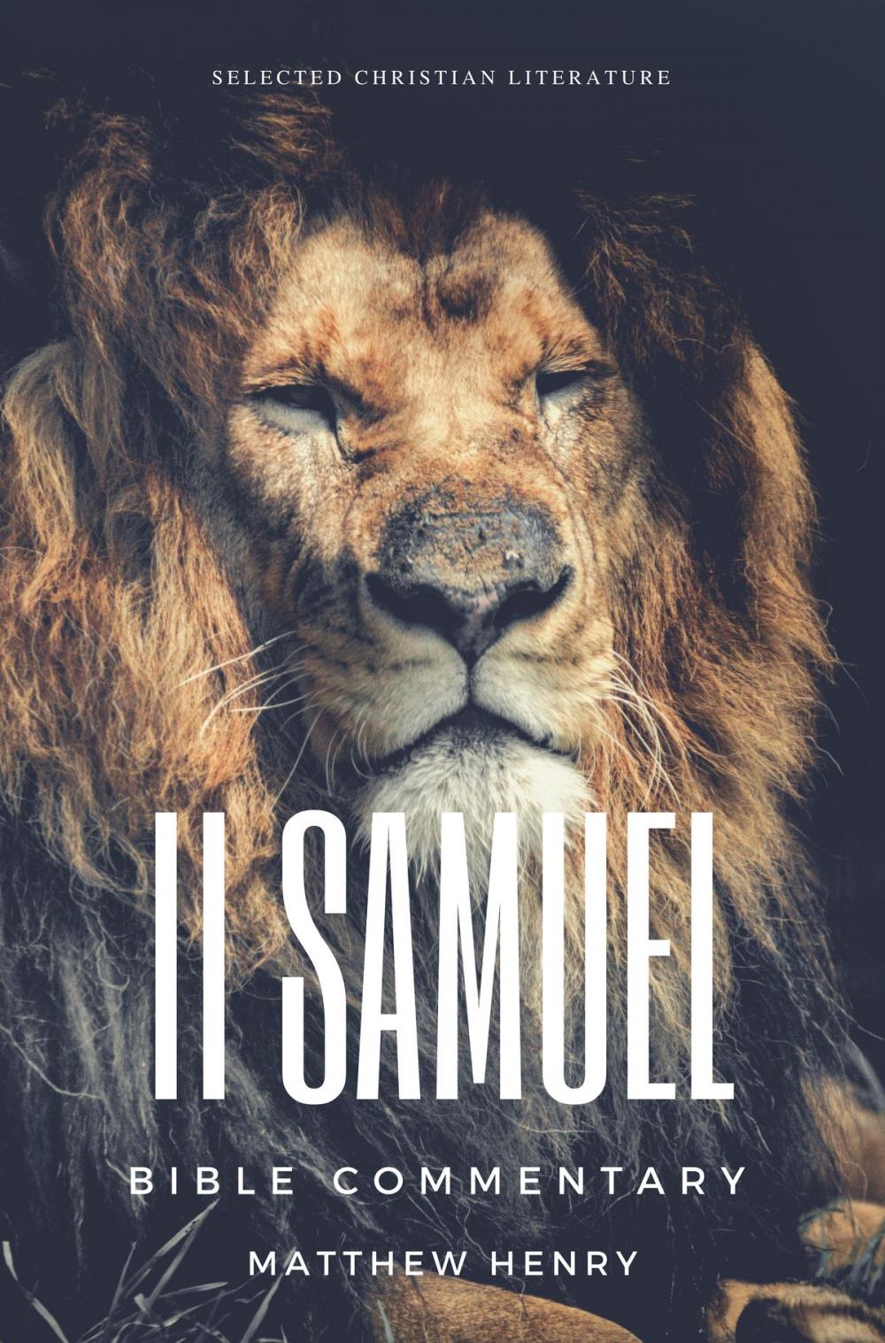 Big bigCover of 2 Samuel: Complete Bible Commentary Verse by Verse