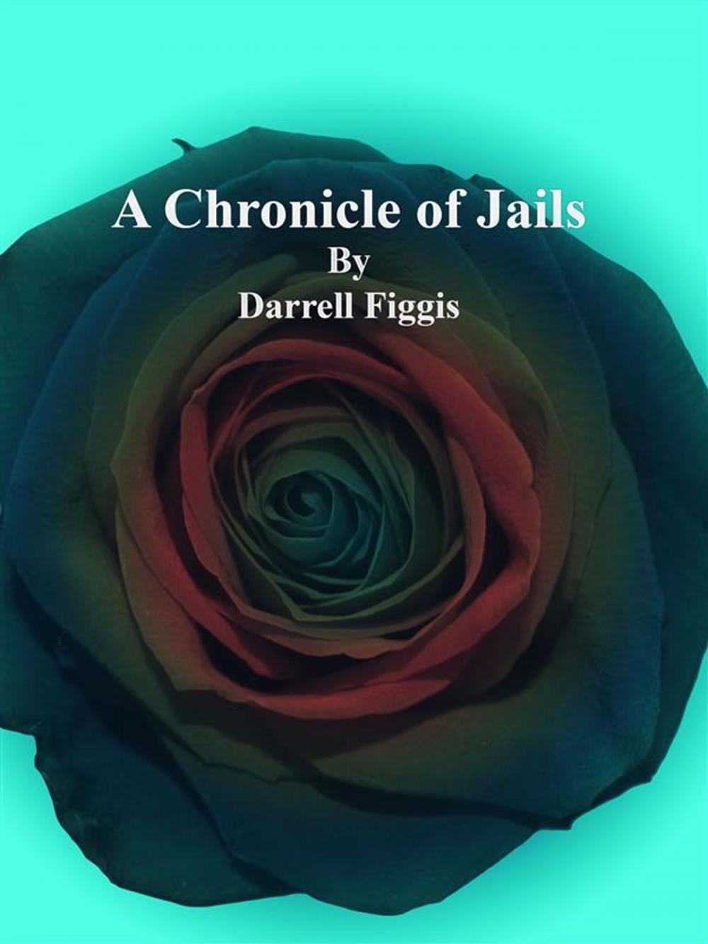 Big bigCover of A Chronicle of Jails