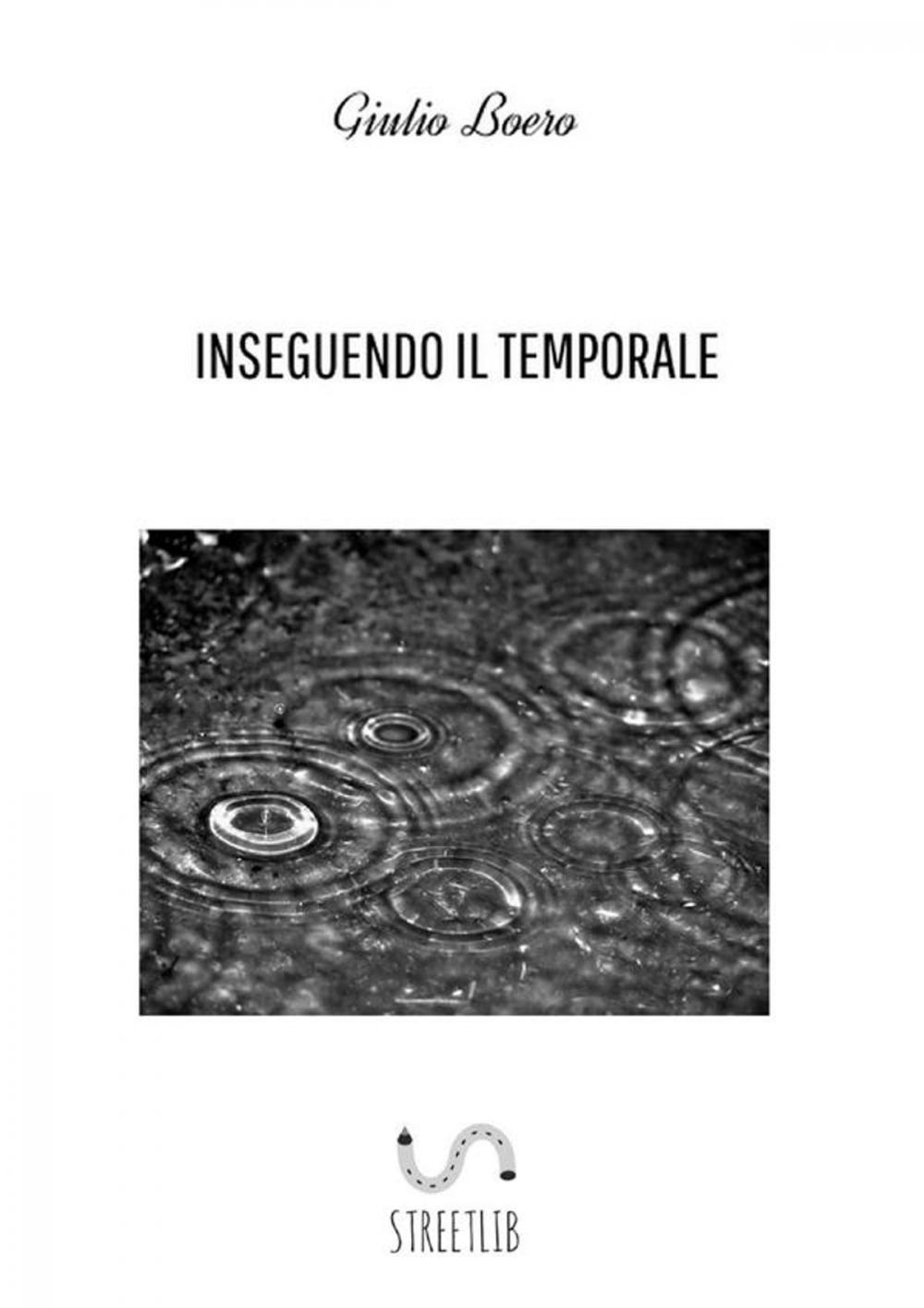 Big bigCover of Inseguendo il Temporale