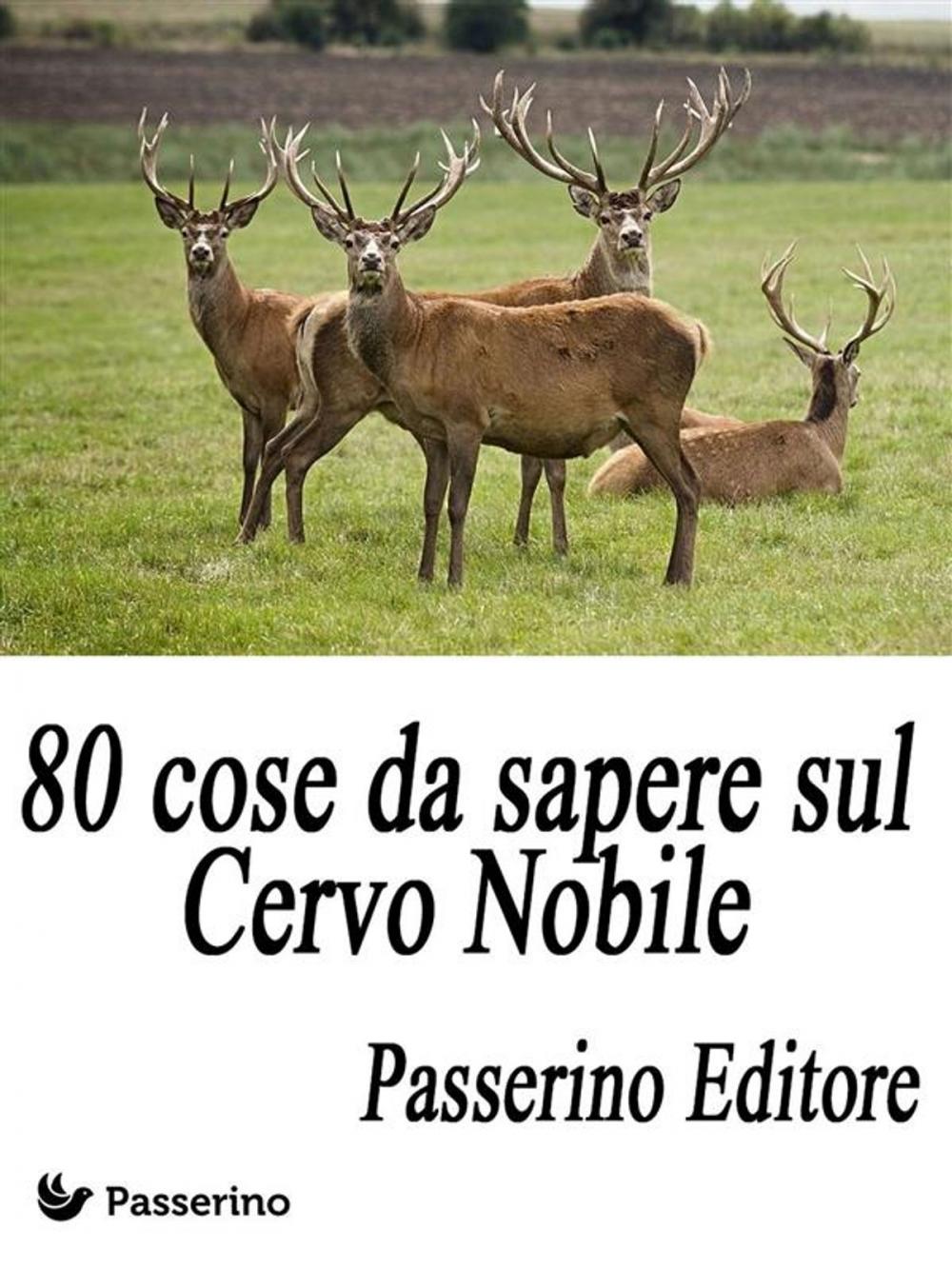 Big bigCover of 80 cose da sapere sul Cervo Nobile