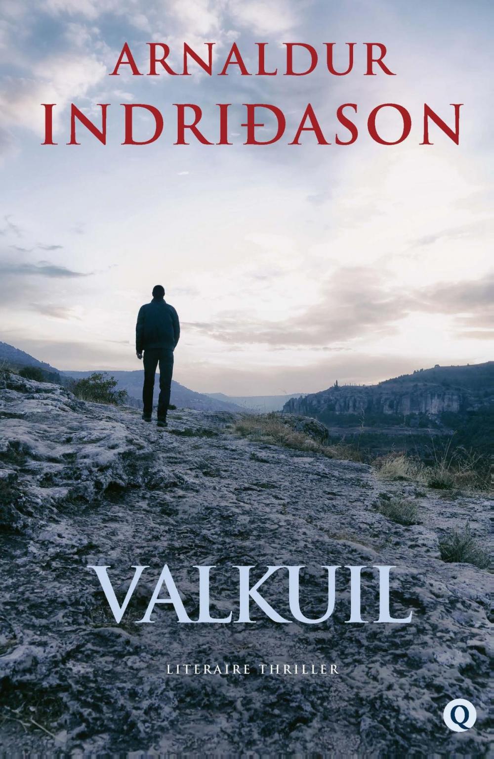 Big bigCover of Valkuil