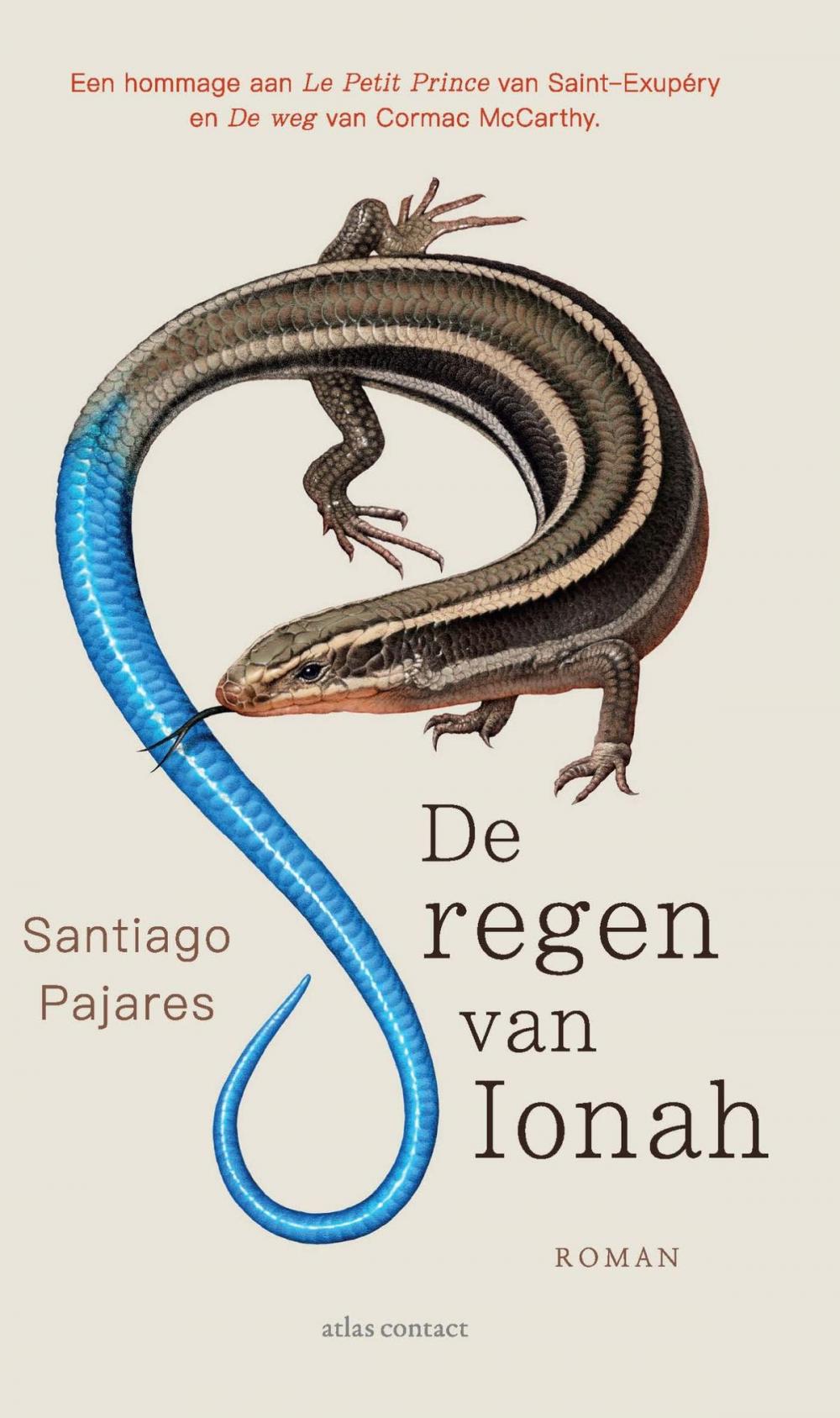 Big bigCover of De regen van Ionah