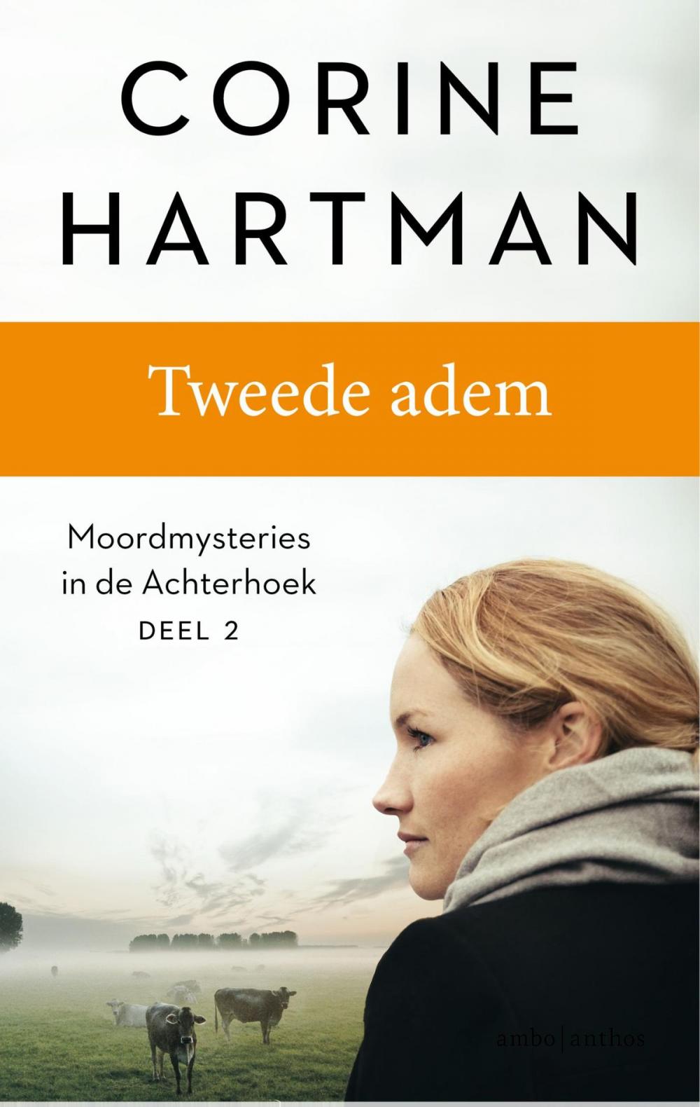 Big bigCover of Tweede adem