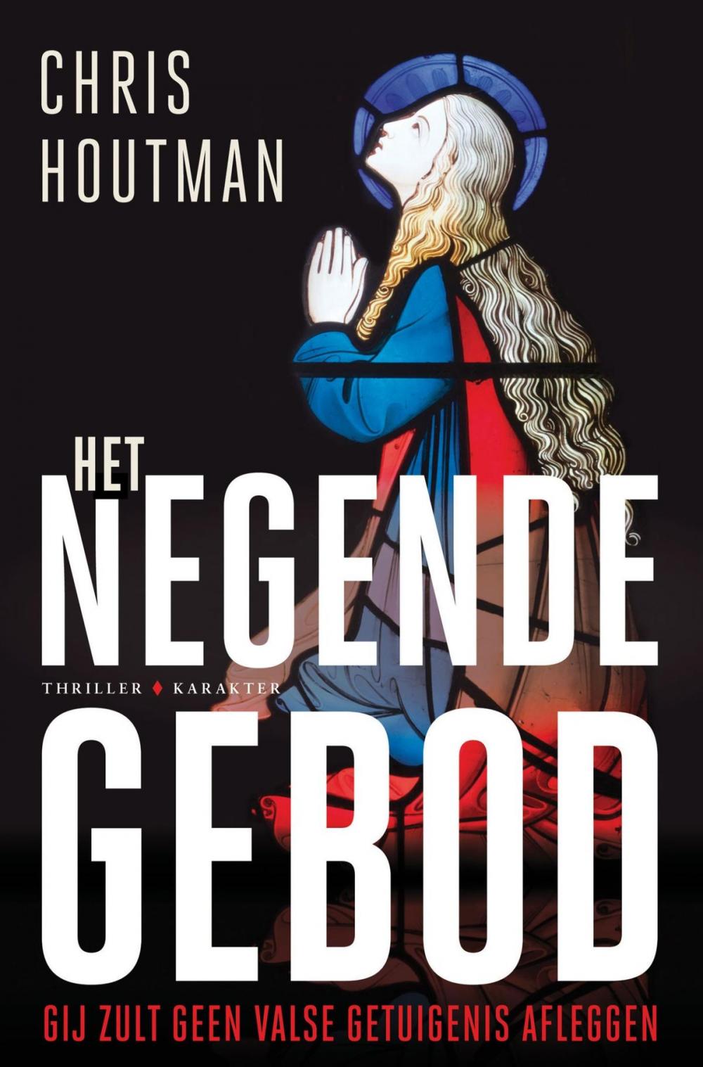 Big bigCover of Het negende gebod