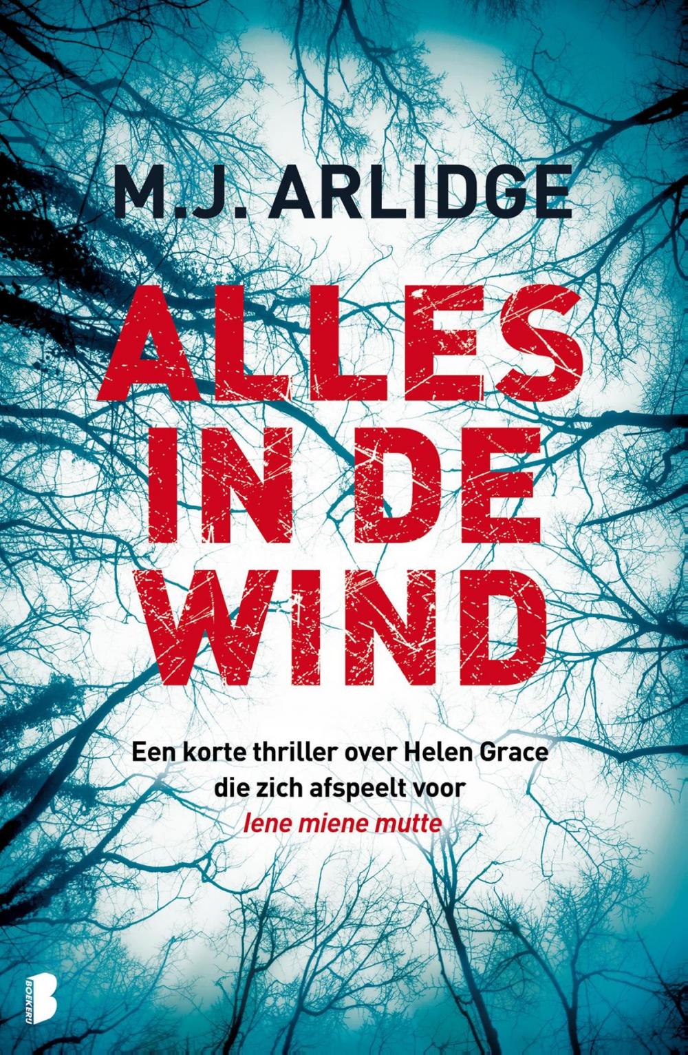 Big bigCover of Alles in de wind