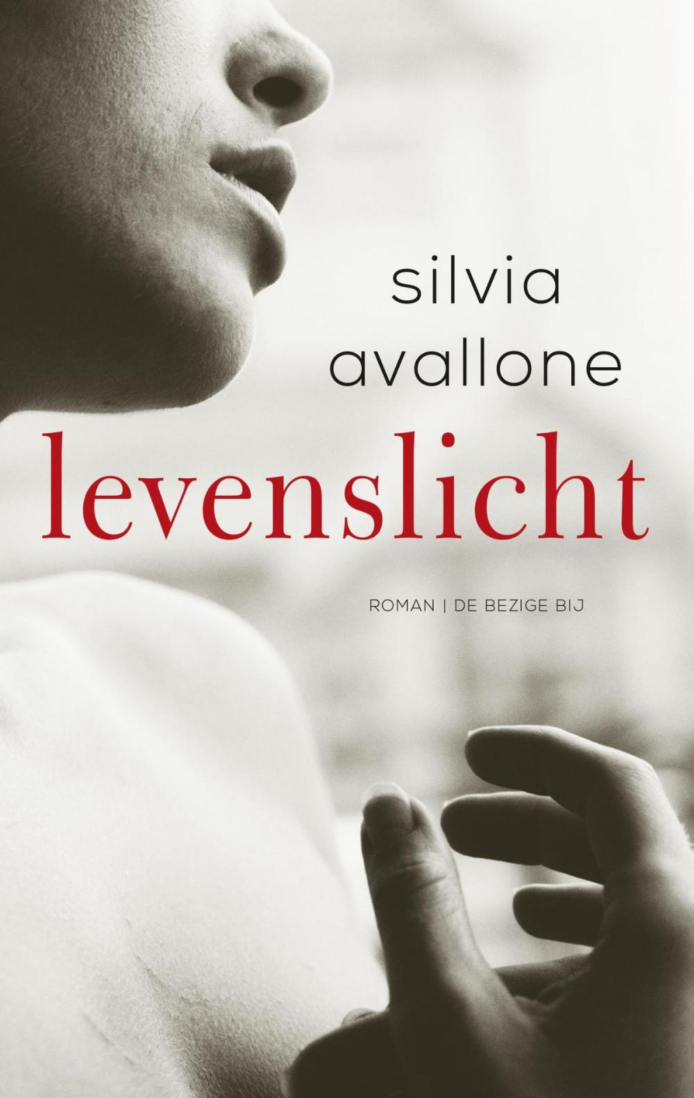 Big bigCover of Levenslicht