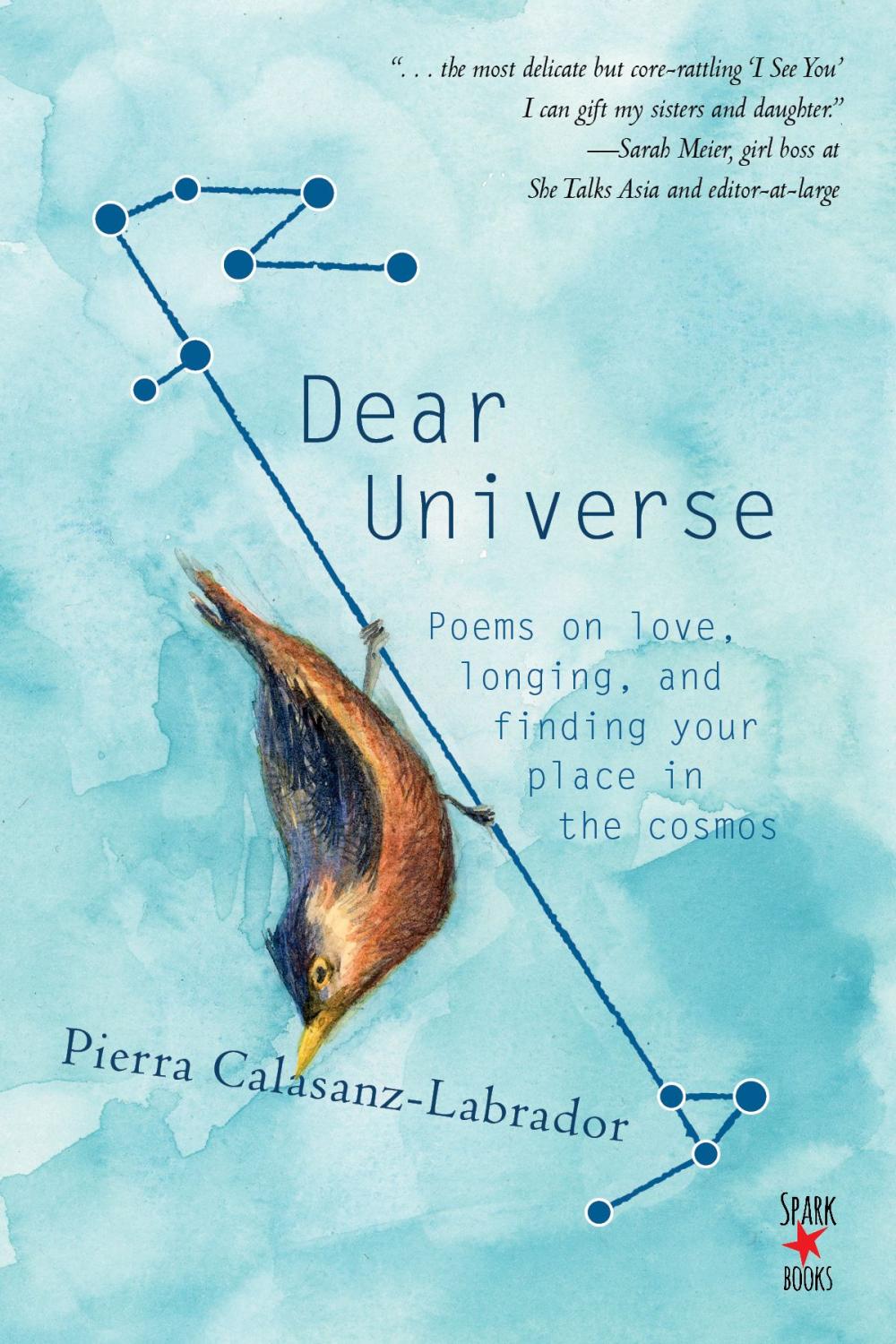 Big bigCover of Dear Universe