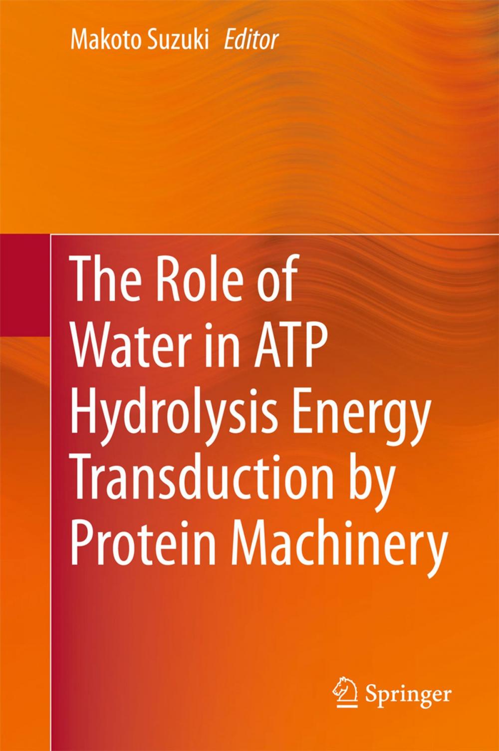 Big bigCover of The Role of Water in ATP Hydrolysis Energy Transduction by Protein Machinery