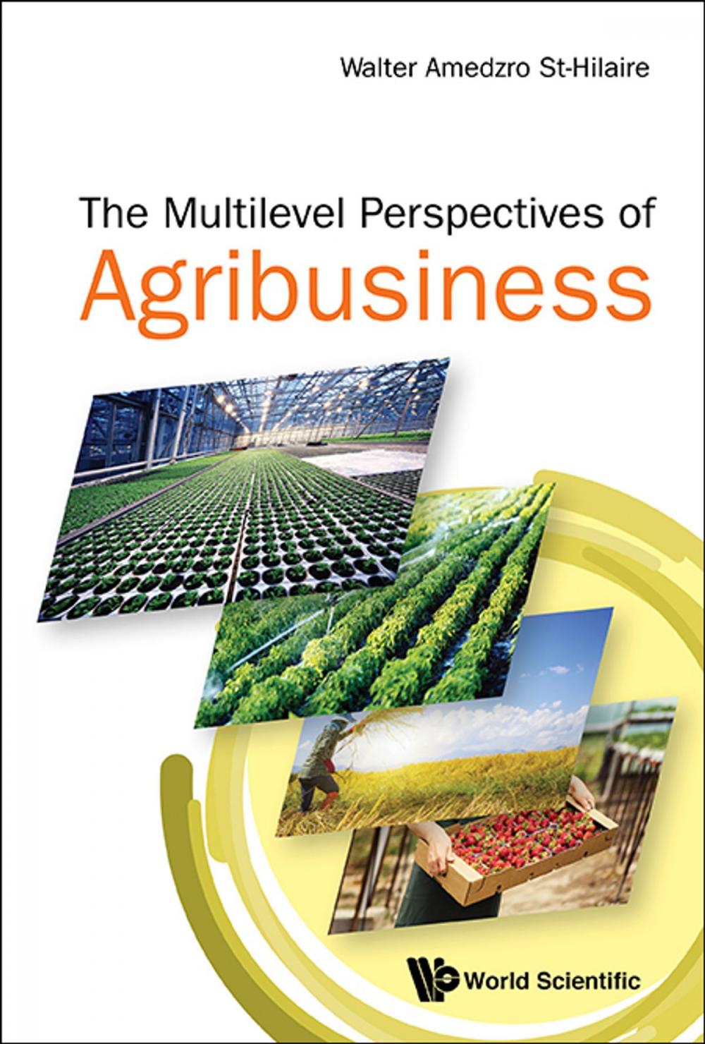 Big bigCover of The Multi-Level Perspectives of Agribusiness