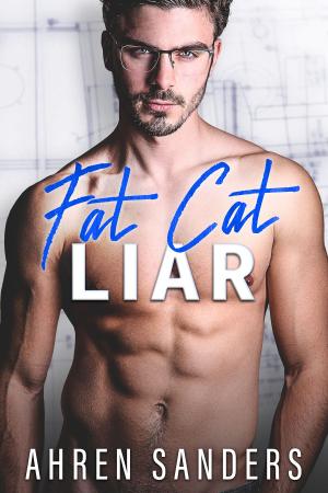Book cover of Fat Cat Liar