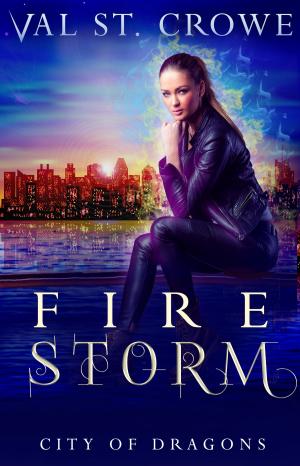 Cover of the book Fire Storm by Val St. Crowe