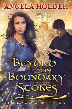 Cover of the book Beyond the Boundary Stones by Storm Constantine